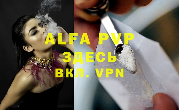 хмурый Нефтекумск