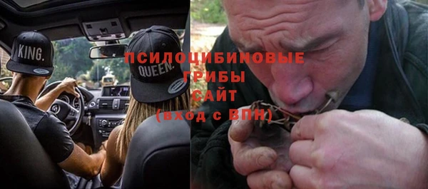 хмурый Нефтекумск