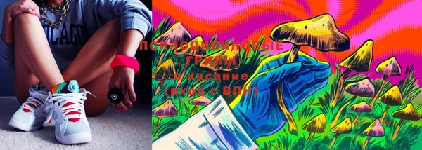 хмурый Нефтекумск