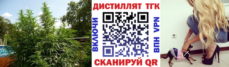 Купить закладки  Пустошка  ТГК жижа 