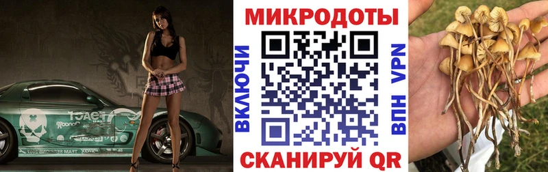 Купить закладки  Пустошка  Псилоцибиновые грибы Cubensis 